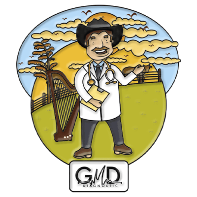 PIN ORINOQUIA - GMD